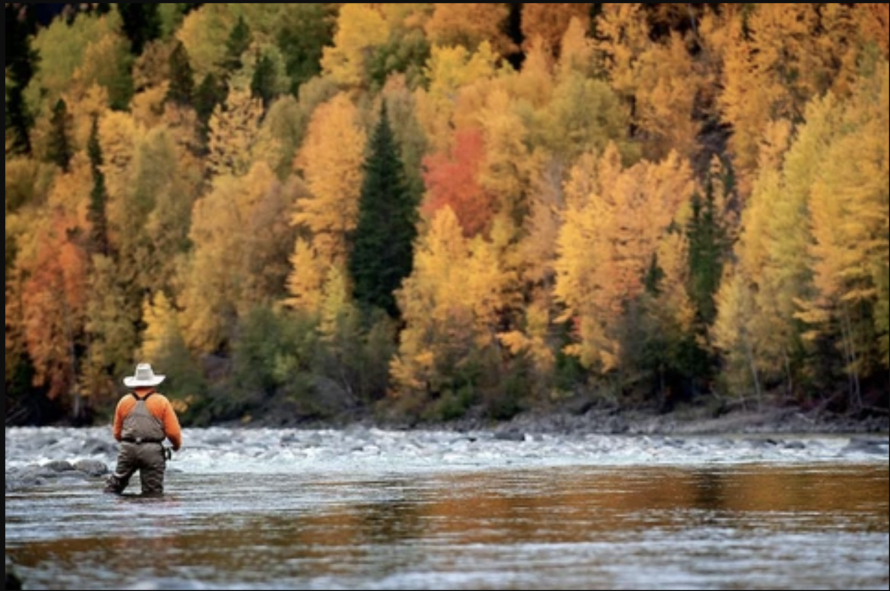 Elk River Guiding Company Fly Fishing in Fernie, BC