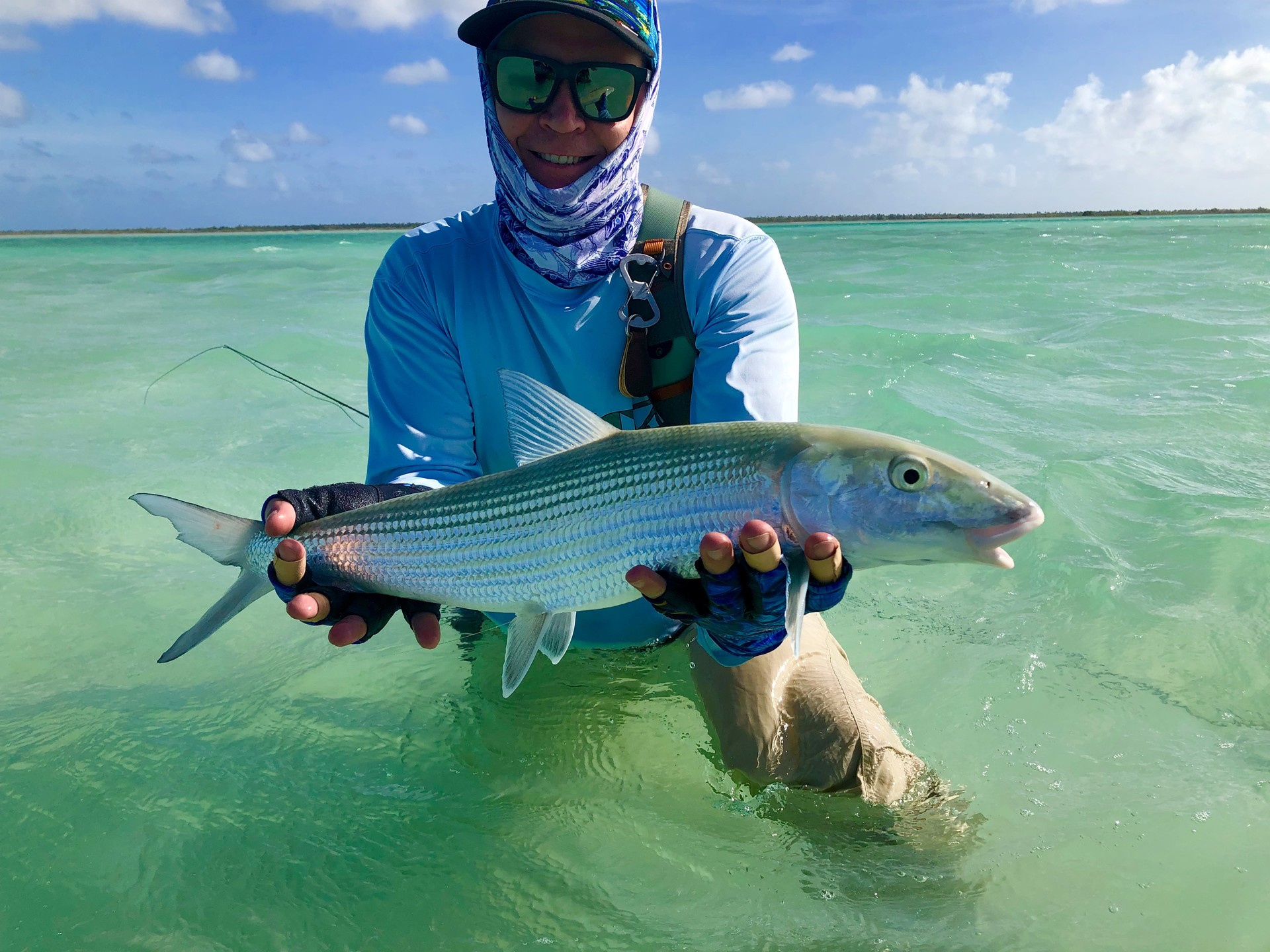 bone_fish_christmas_island