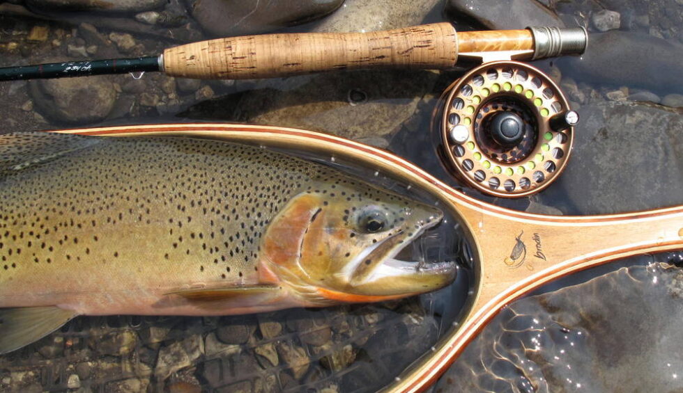 Fly Fishing Elk River Guiding Company